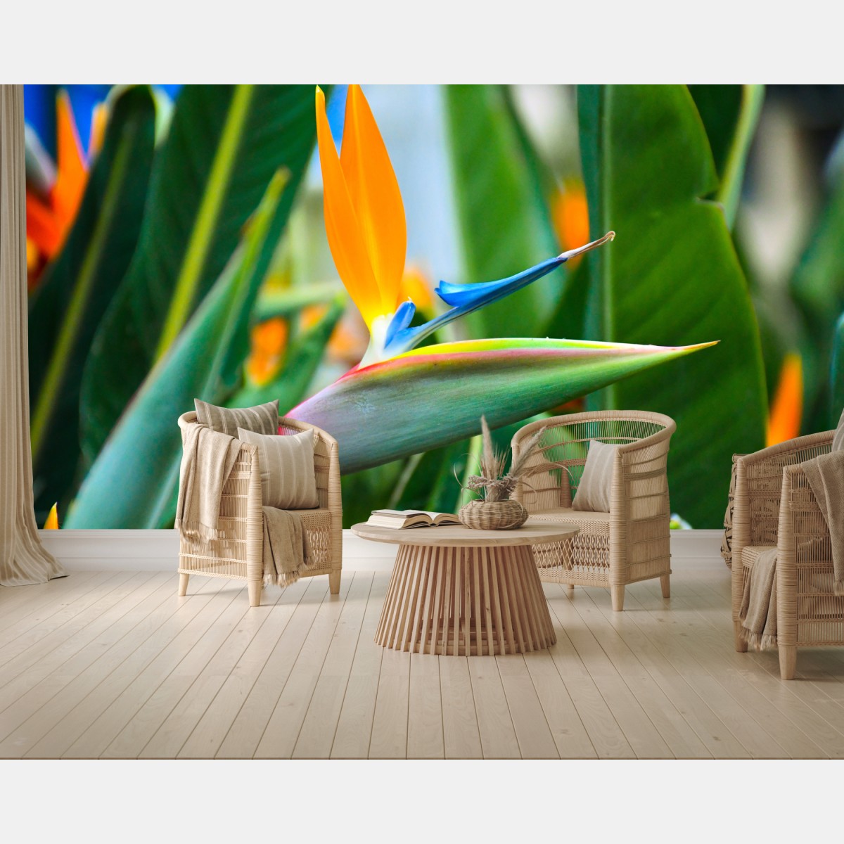 Fototapete leuchtende paradiesvogelblume – Wallnifity®