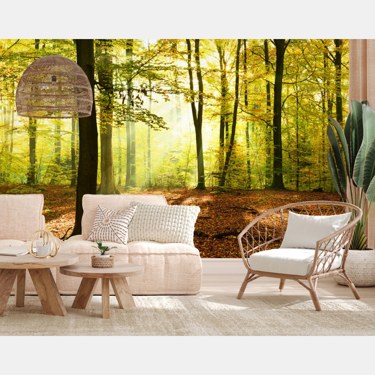 Fototapete goldener herbstwald am morgen – Wallnifity®