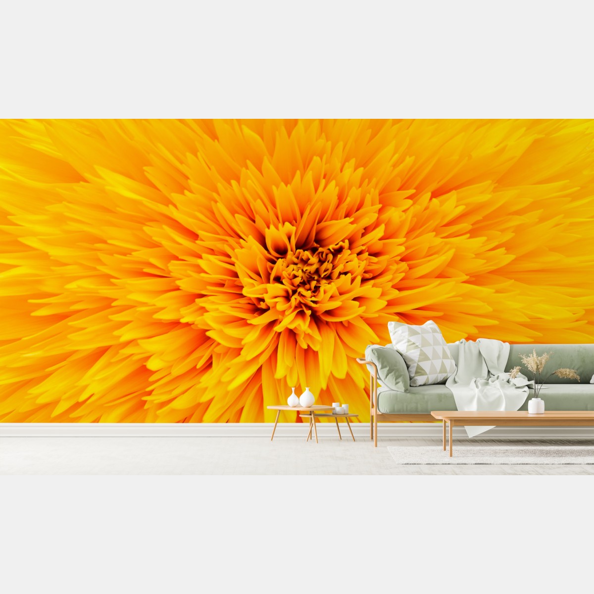 Fototapete strahlende sonnenblume nahaufnahme – Wallnifity®