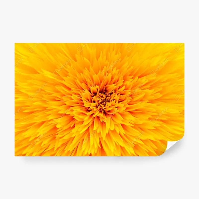 Fototapete türkis-korall abstrakte komposition – Wallnifity®