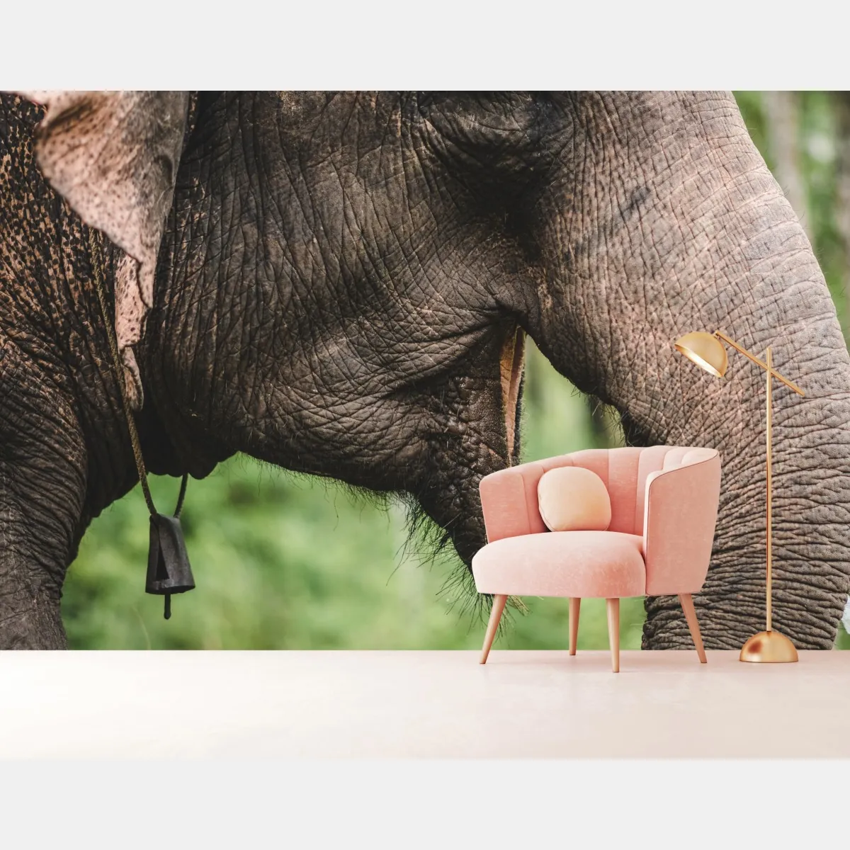Fototapete asiatischer elefant nahaufnahme – Wallnifity®