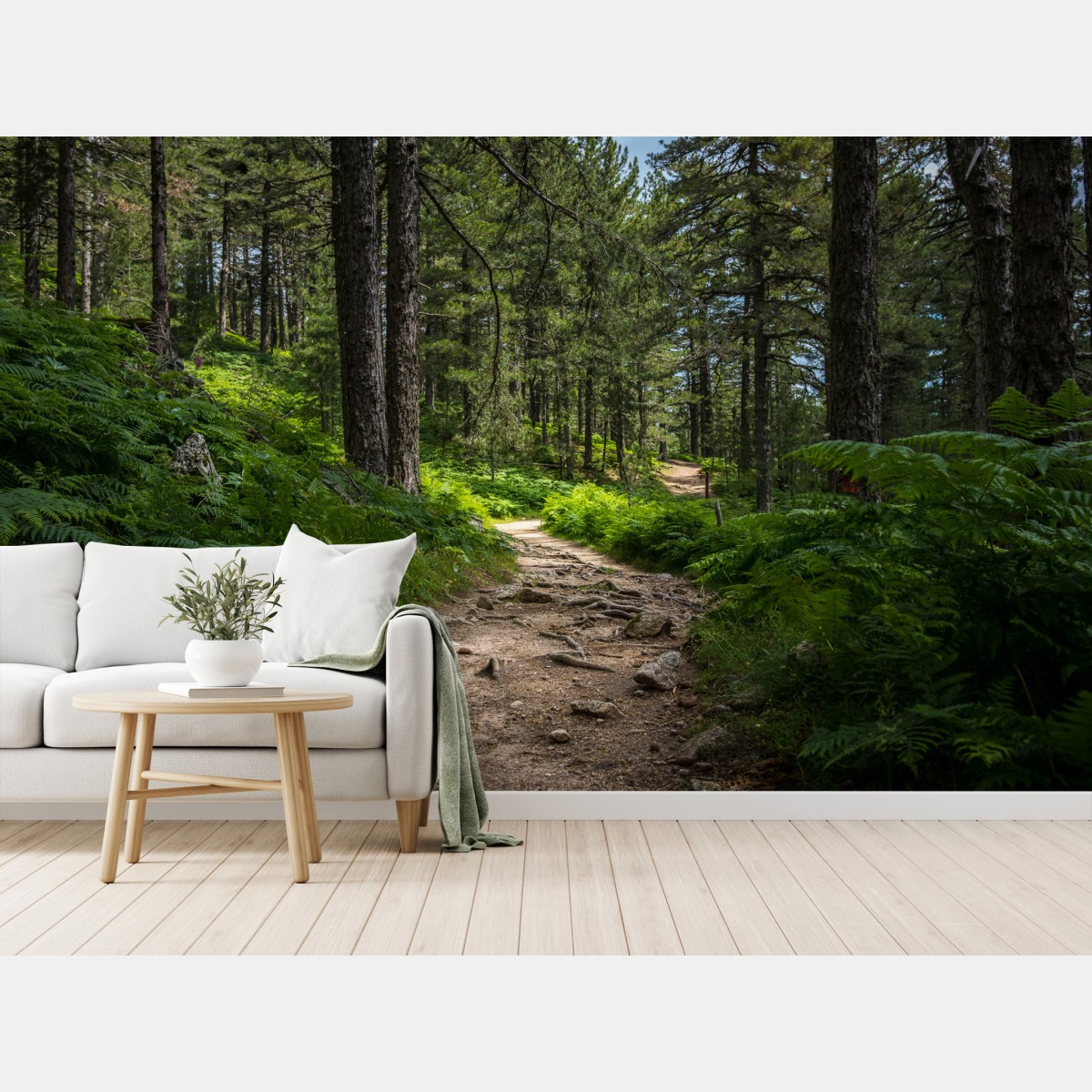 Fototapete ruhiger waldpfad durch üppiges grün – Wallnifity®