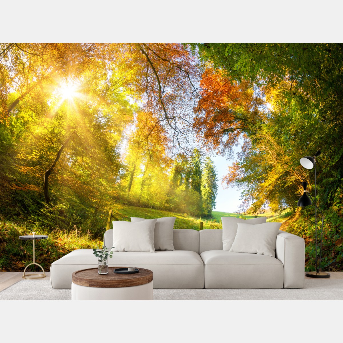 Fototapete goldener herbstwaldweg – Wallnifity®