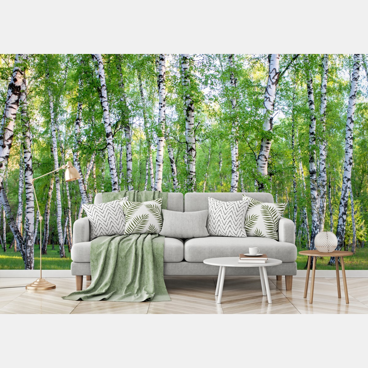 Fototapete ruhiger birkenhain im sommer – Wallnifity®