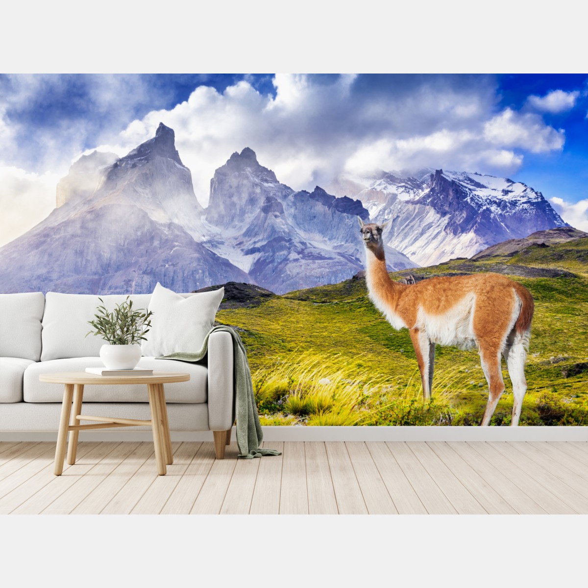 Fototapete Torres del Paine Patagonia landschaft mit guanako – Wallnifity®