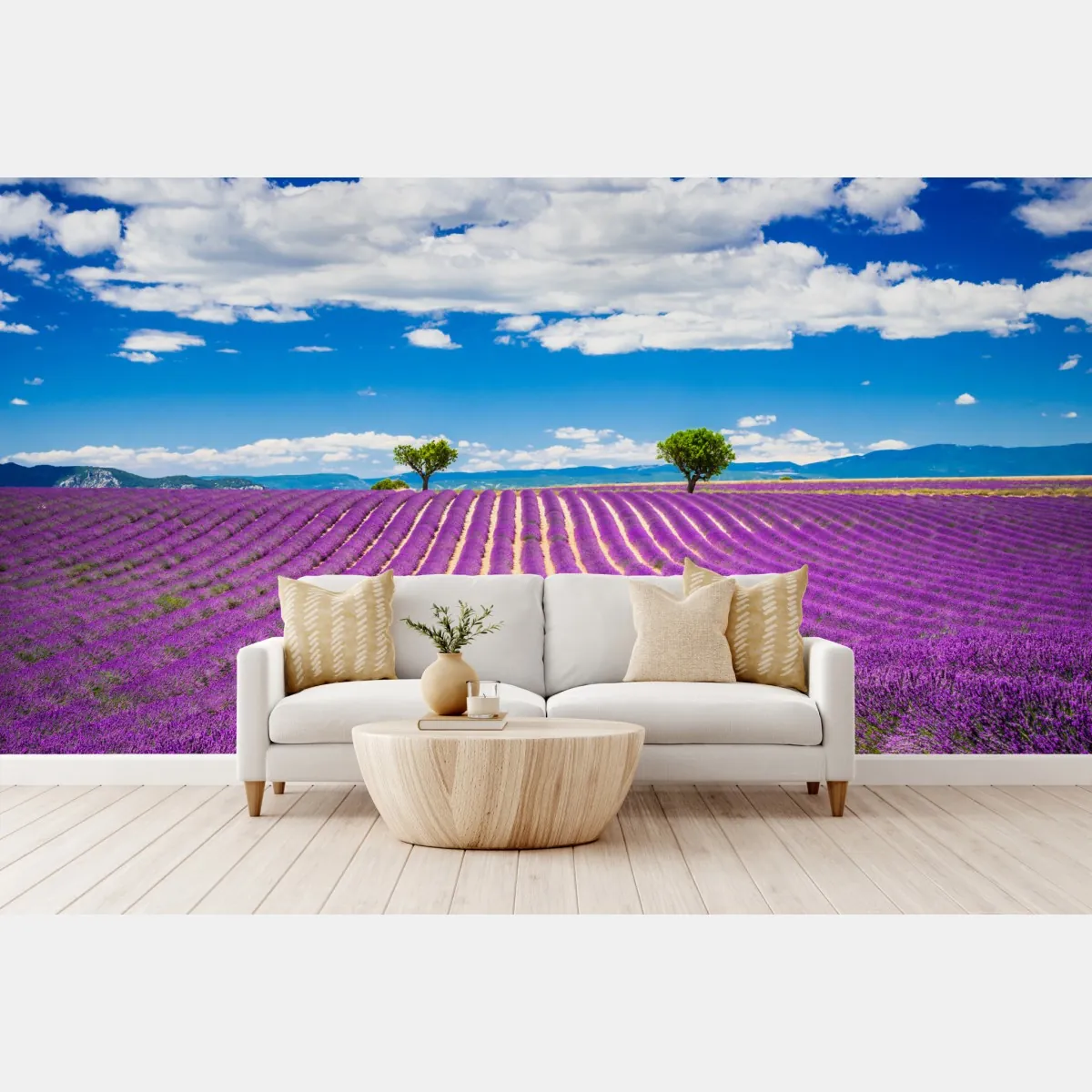 Fototapete lavendelfelder in Provence – Wallnifity®