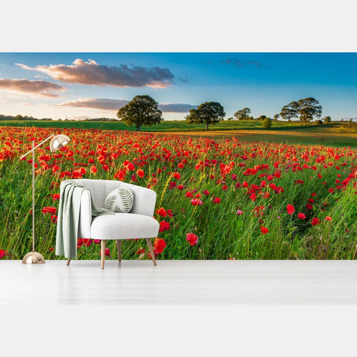 Fototapete rotes mohnfeld bei Corbridge – Wallnifity®