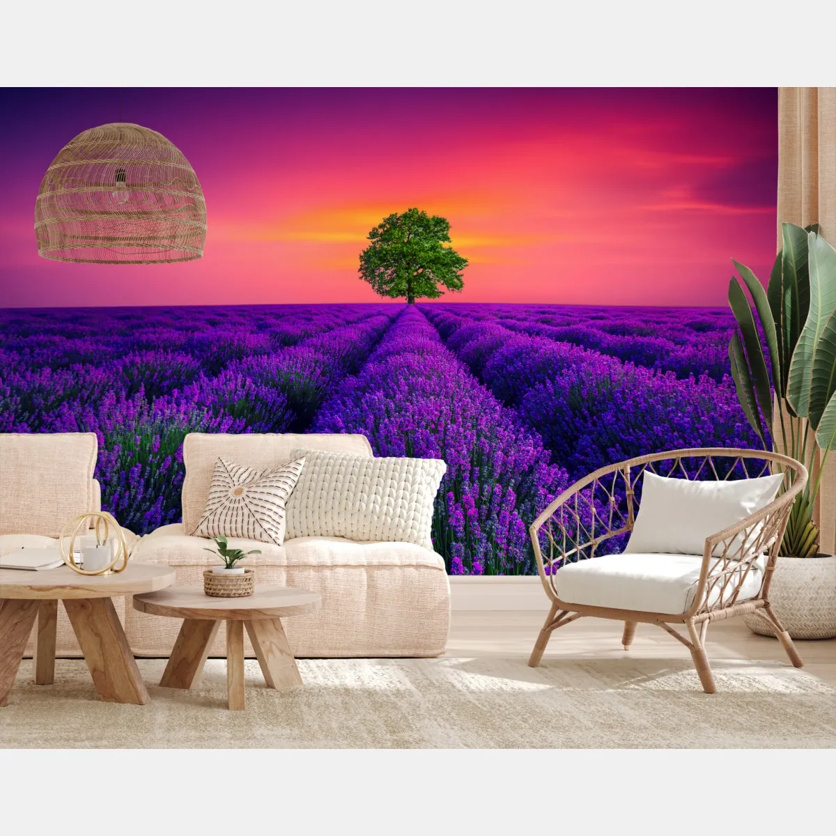 Fototapete lavendelfeld bei sonnenuntergang mit einsamem baum – Wallnifity®
