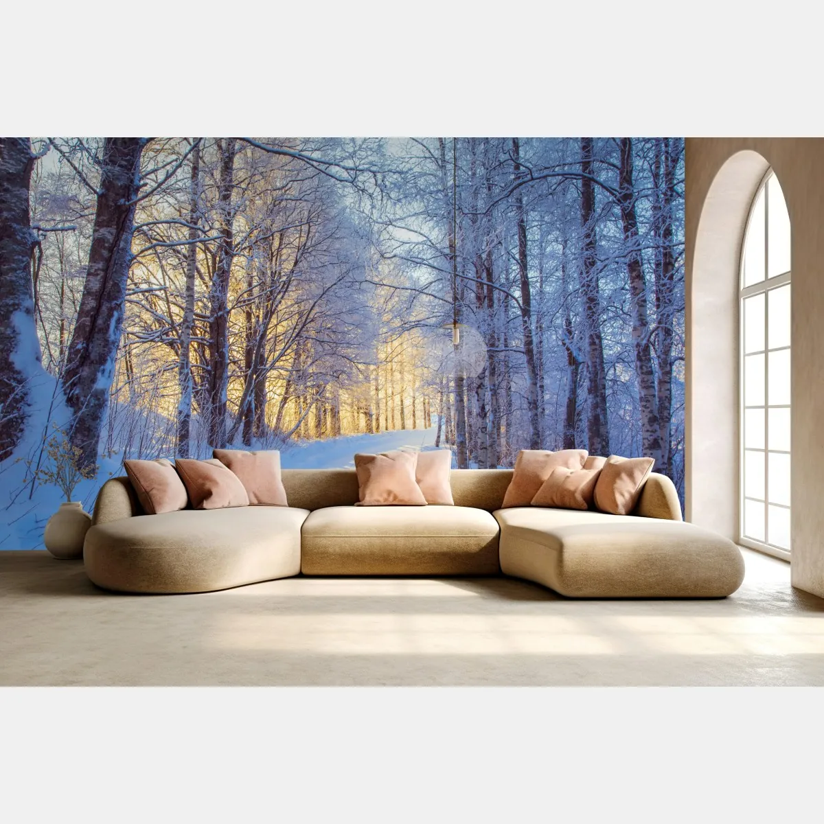 Fototapete birkenwald im winter bei sonnenaufgang – Wallnifity®