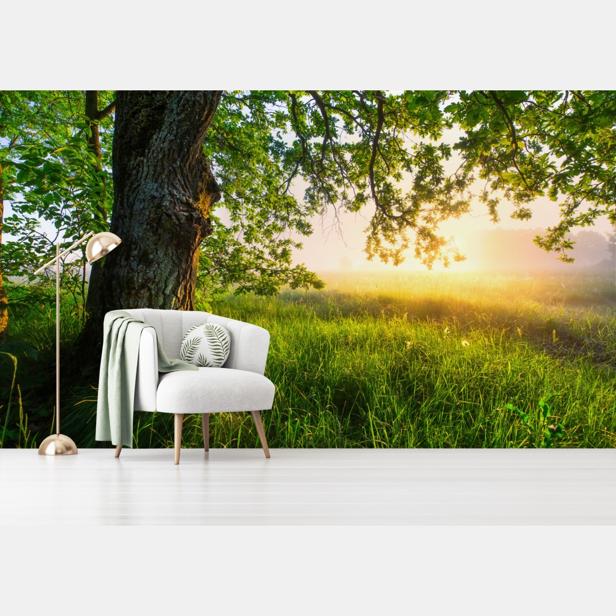 Fototapete morgendliche eiche auf sonnenbeschienener wiese – Wallnifity®