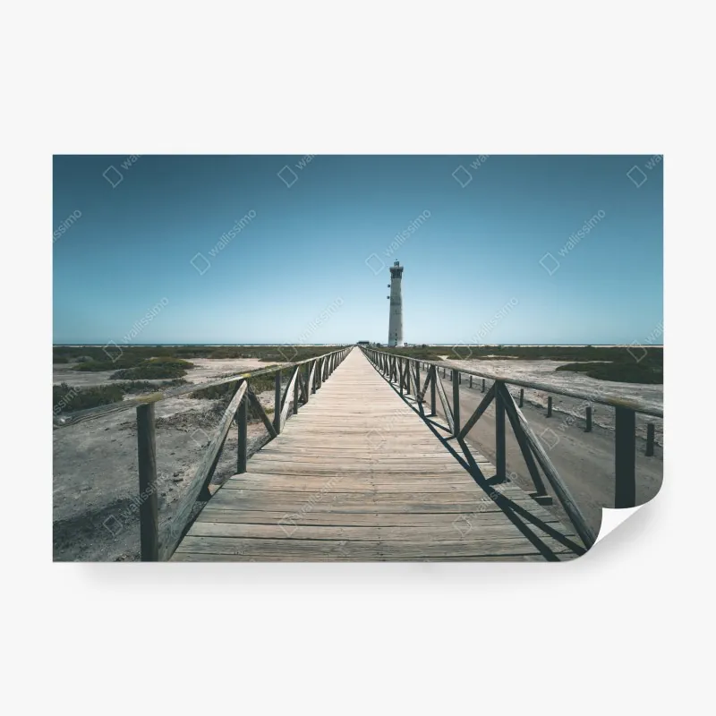 Fototapete zarte lotus-linienzeichnung – Wallnifity®