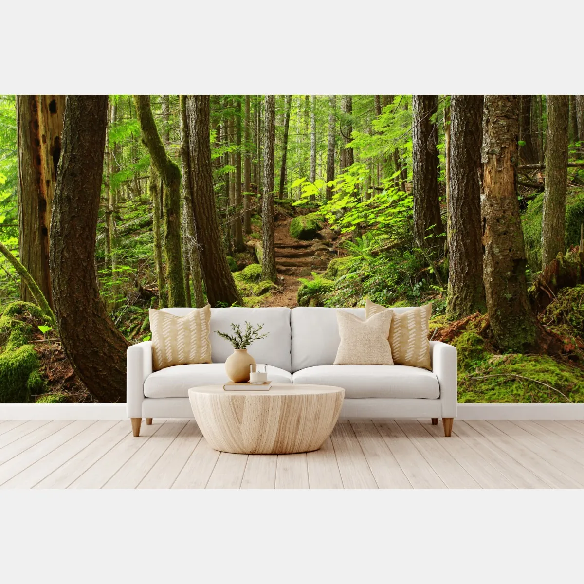 Fototapete moosiger waldpfad – Wallnifity®