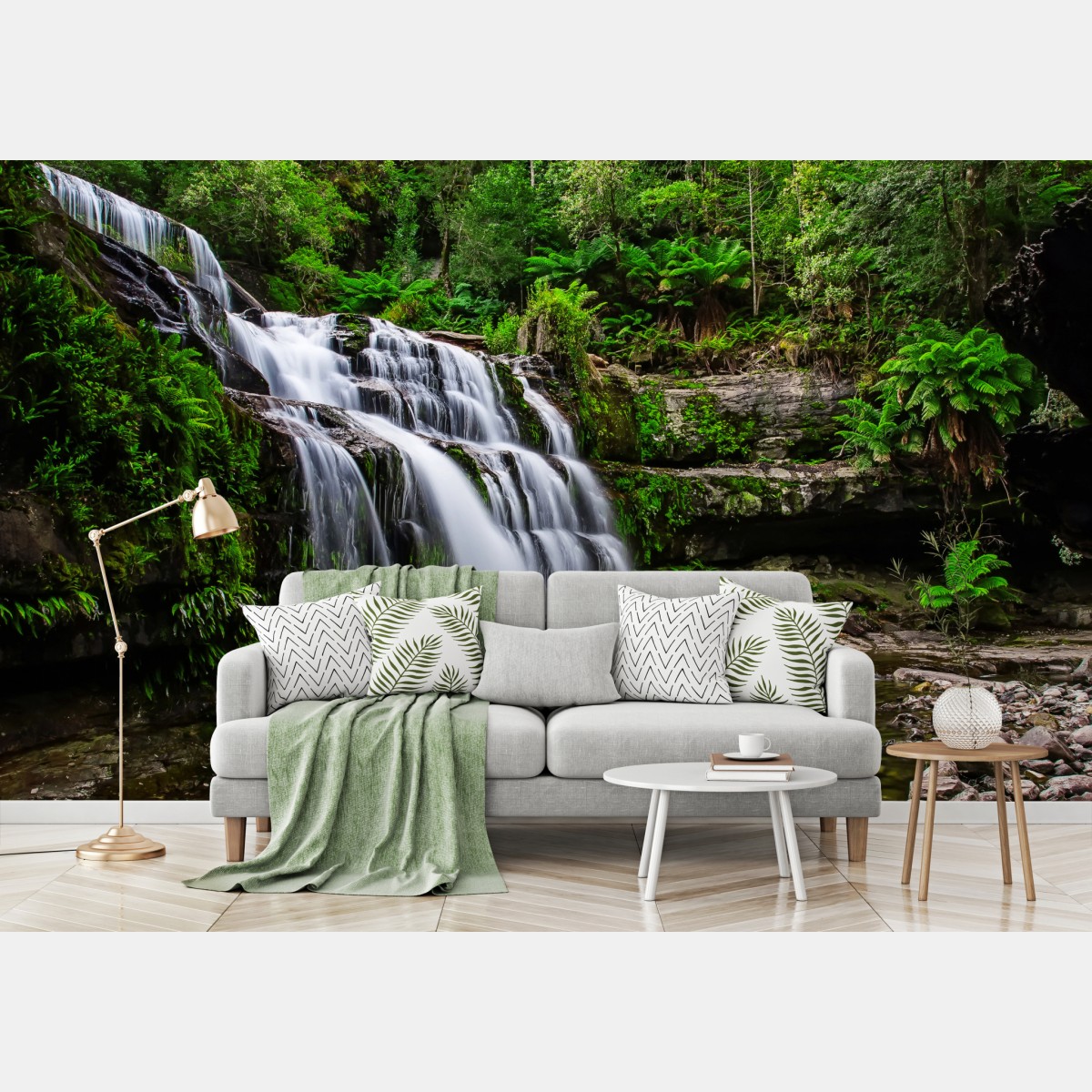Fototapete wasserfall Liffey Falls im üppigen Regenwald von Tasmanien – Wallnifity®
