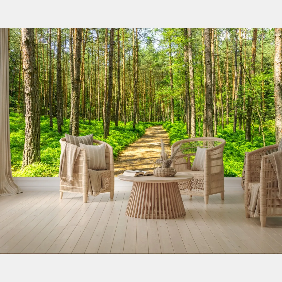 Fototapete sonniger waldweg zwischen kiefern – Wallnifity®