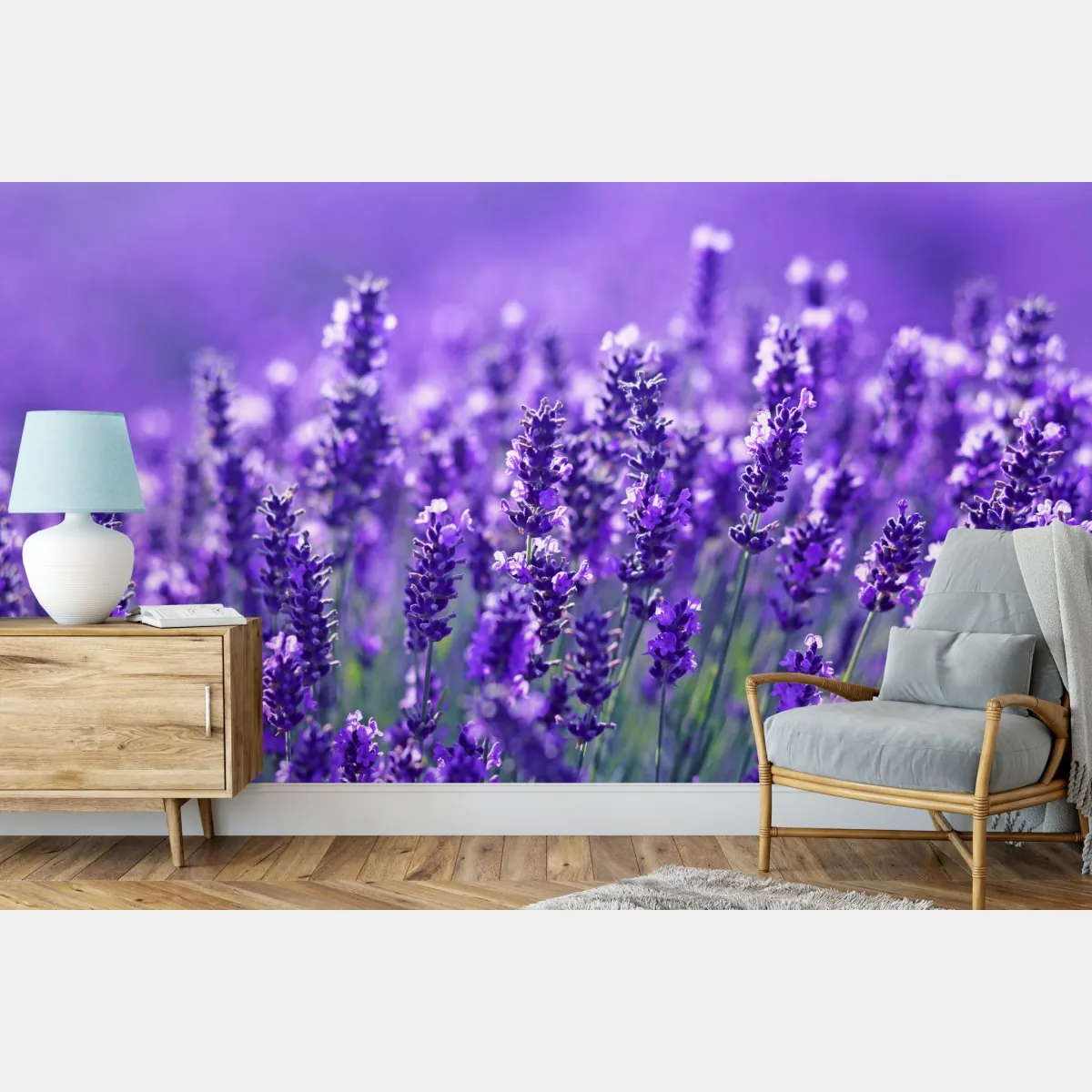 Fototapete lavendelfeld nahaufnahme – Wallnifity®