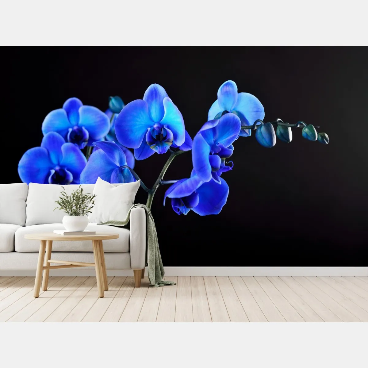Fototapete leuchtende blaue orchidee vor schwarzem hintergrund – Wallnifity®