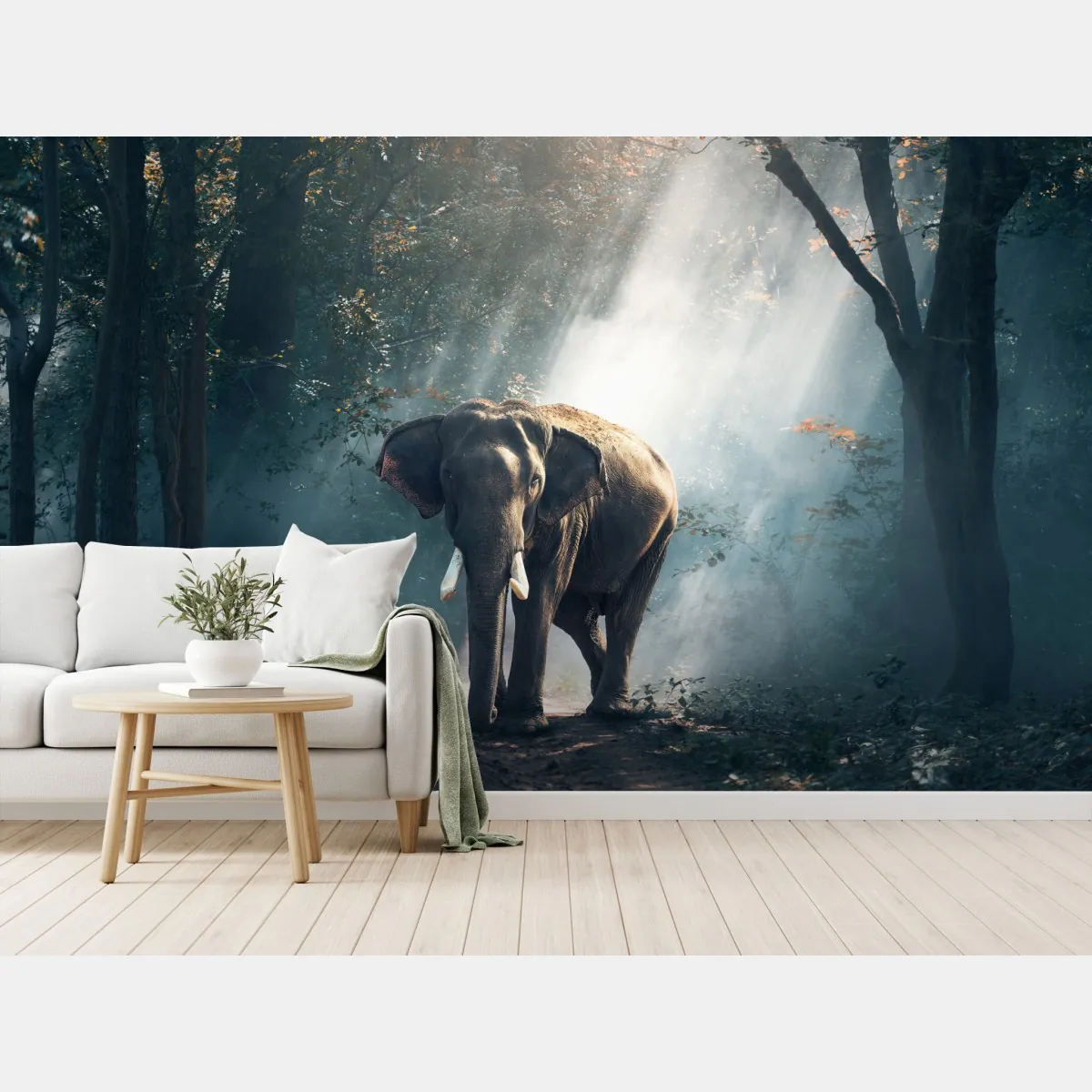 Fototapete majestätischer elefant im sonnenlichtdurchfluteten wald – Wallnifity®