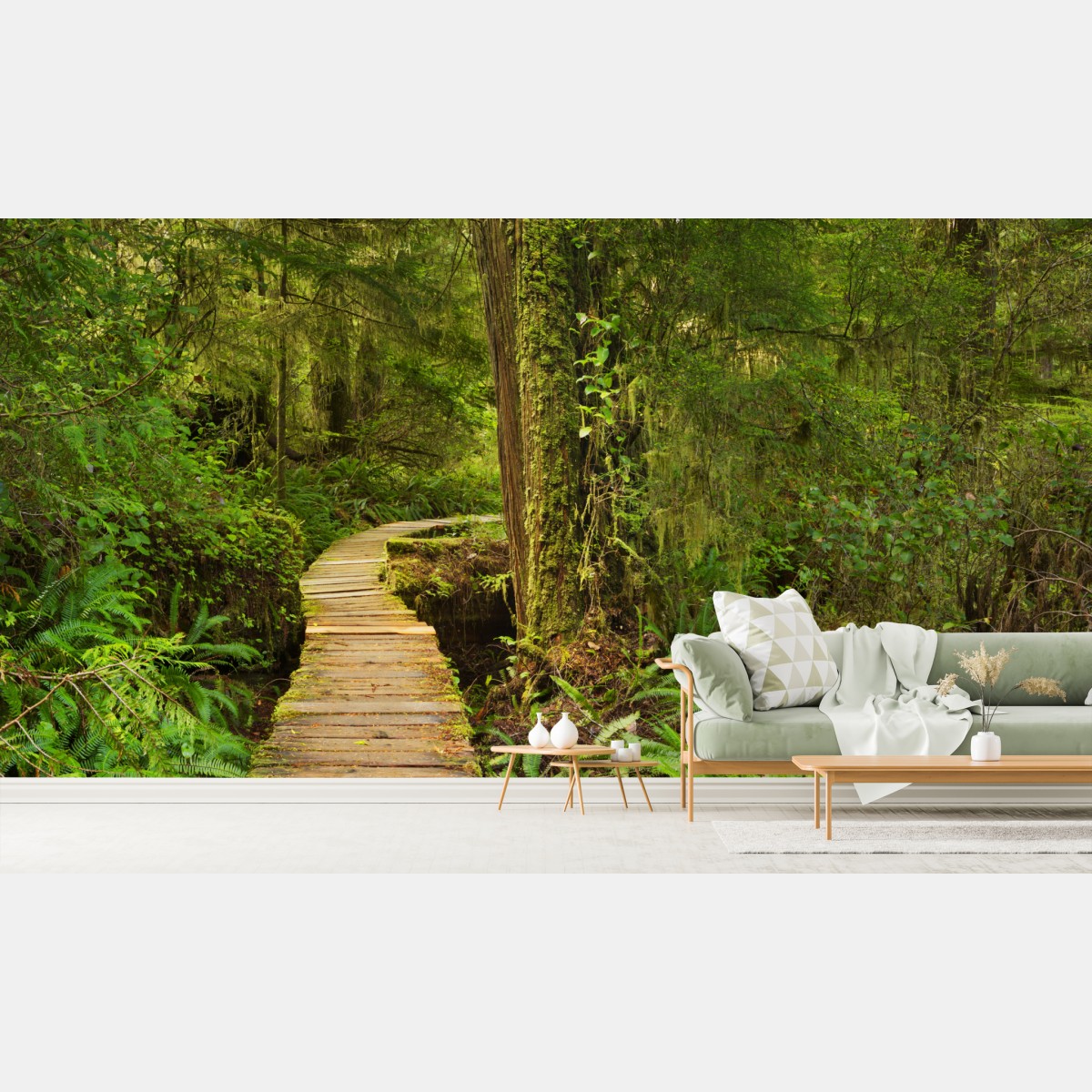 Fototapete steg im Pacific Rim regenwald – Wallnifity®