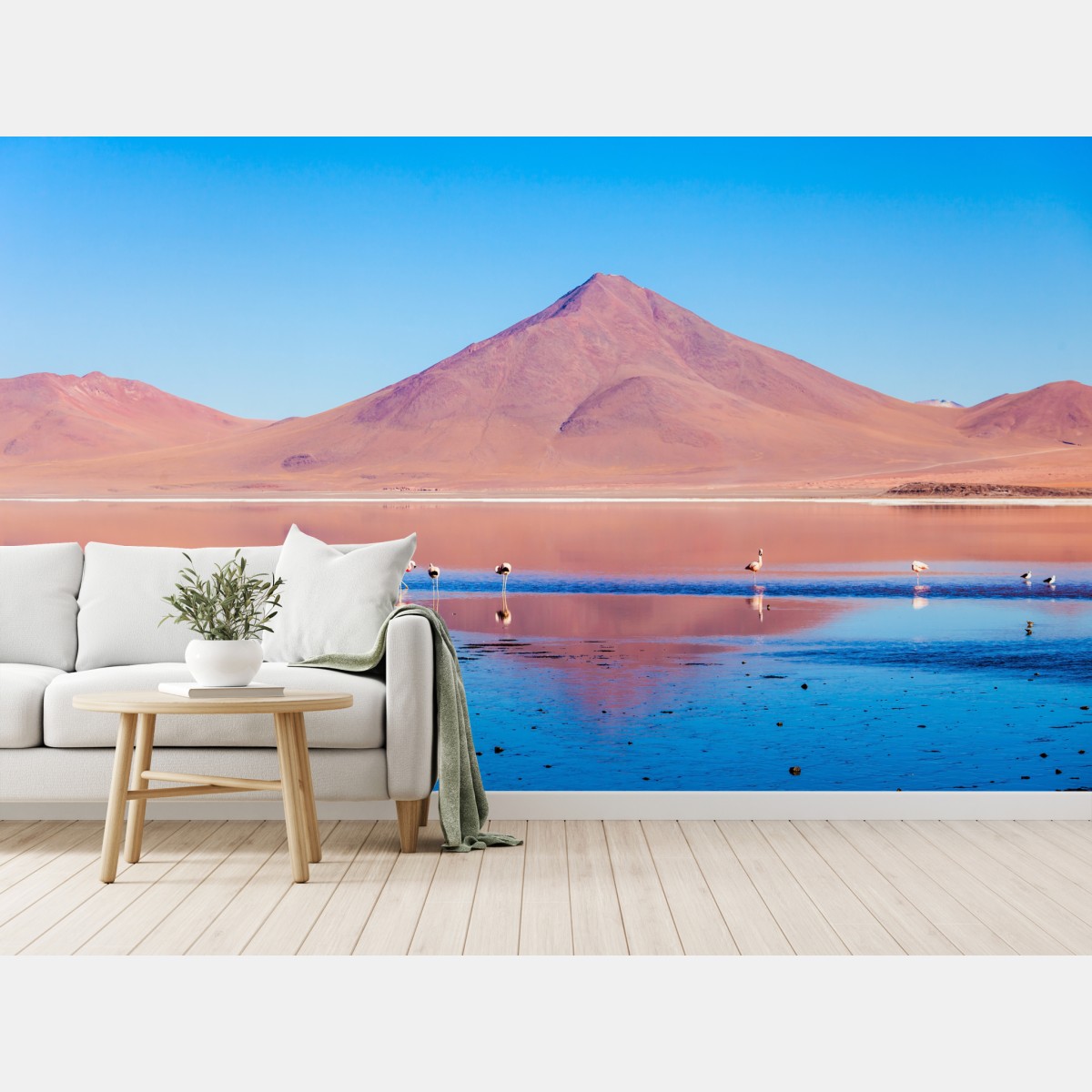 Fototapete flamingos am Laguna Colorada, Bolivien – Wallnifity®