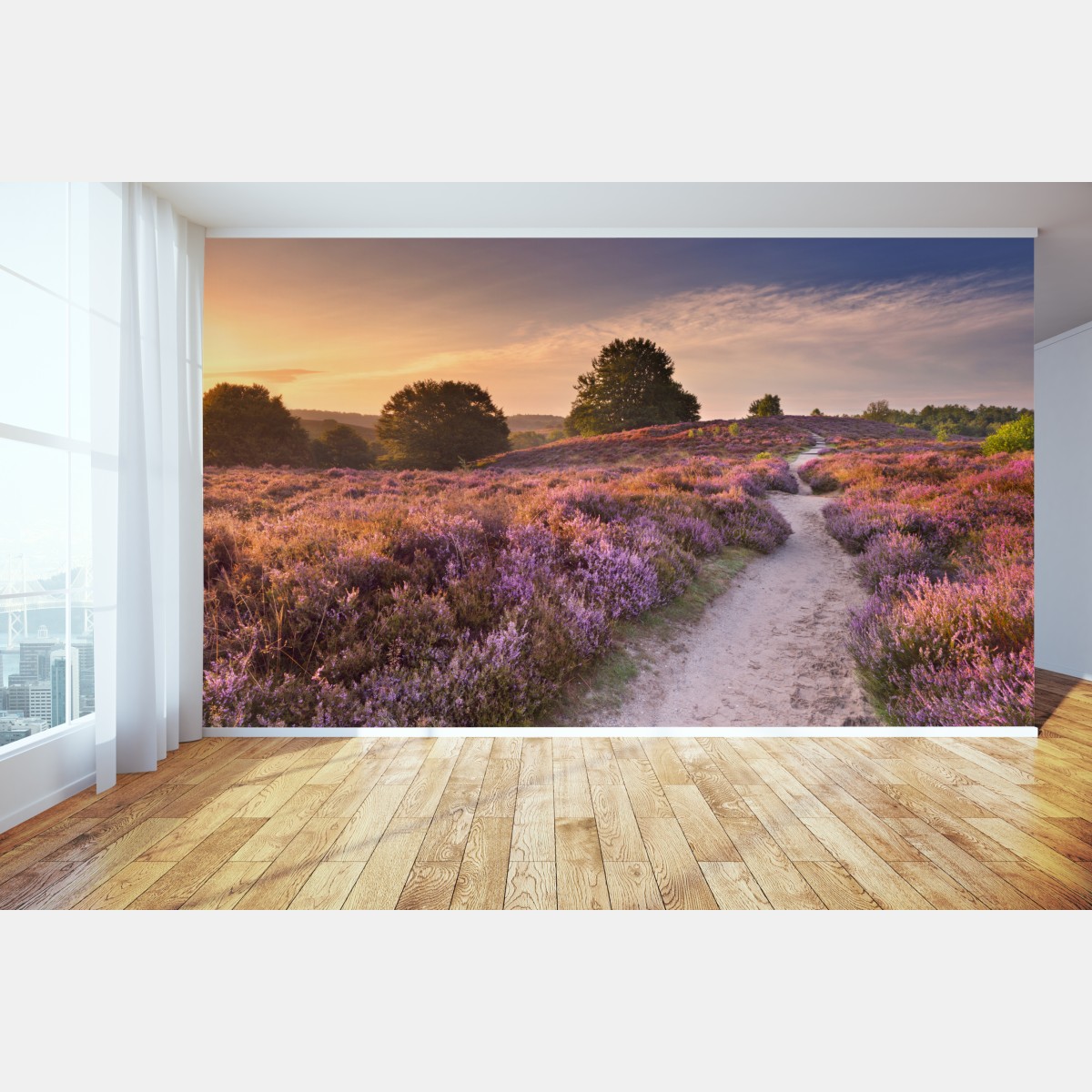 Fototapete Posbank bei sonnenaufgang über blühender heide – Wallnifity®