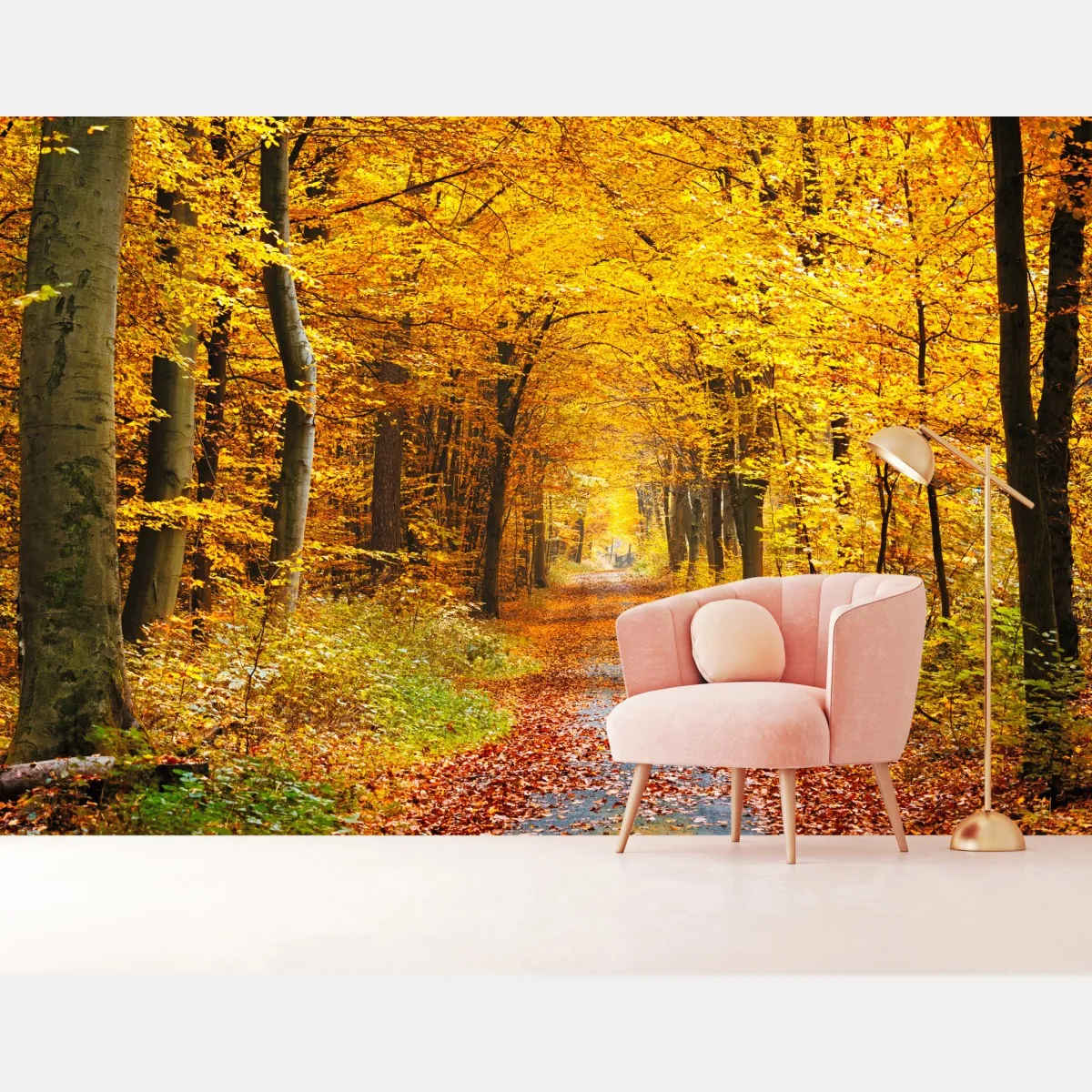 Fototapete goldener herbstwald pfad – Wallnifity®