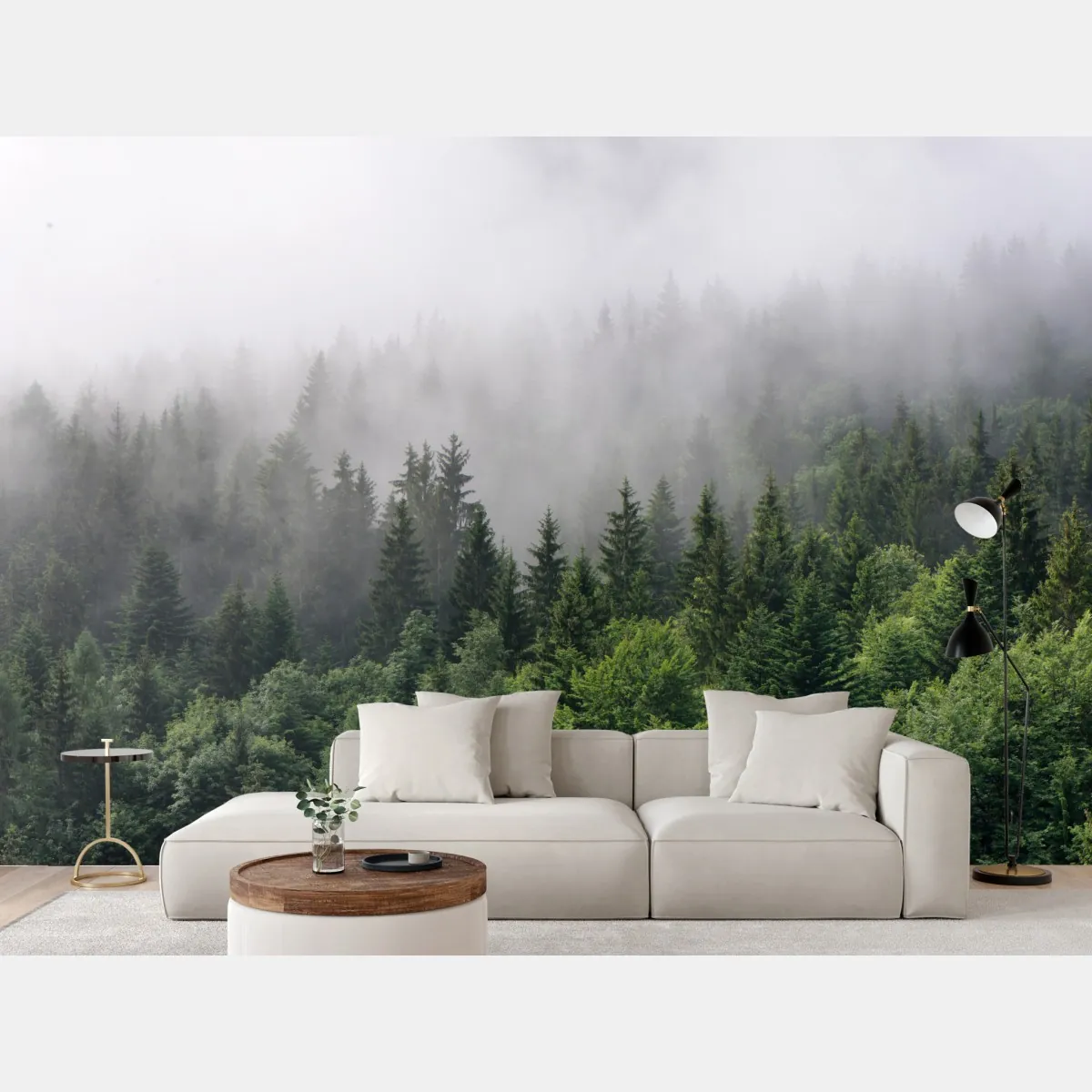 Fototapete nebliger immergrüner wald panorama – Wallnifity®