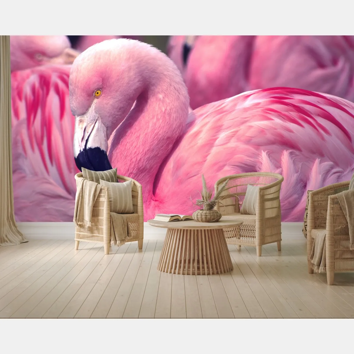 Fototapete rosa flamingo nahaufnahme – Wallnifity®