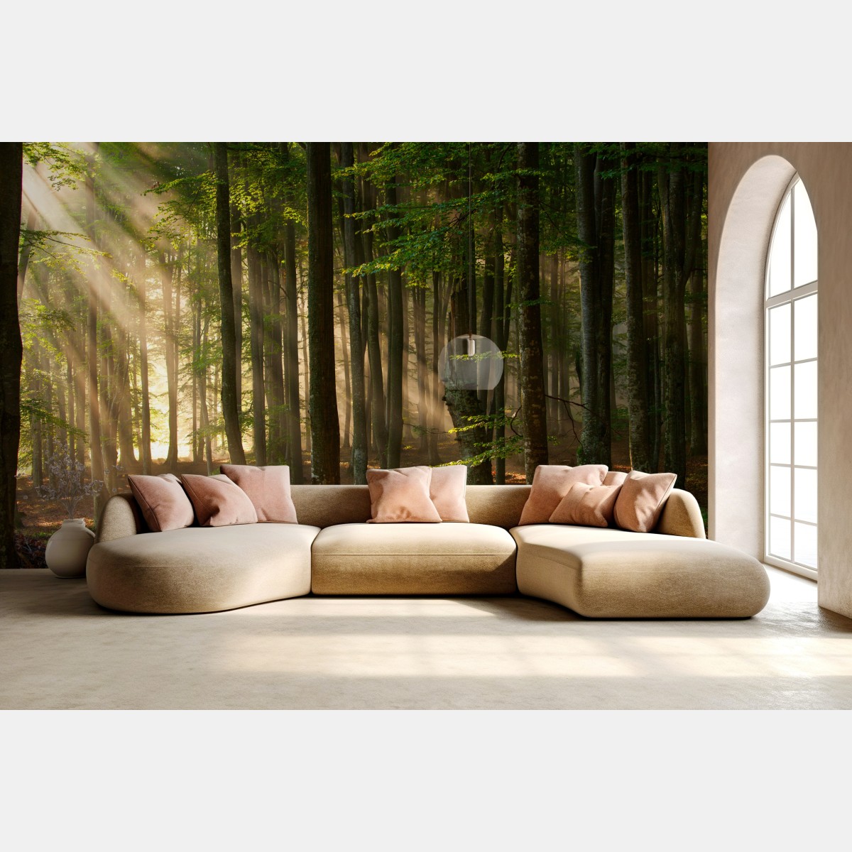 Fototapete morgendliches licht im buchenwald – Wallnifity®