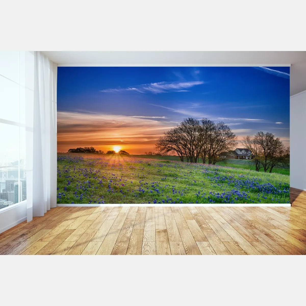 Fototapete Texas wiese mit bluebonnets im sonnenaufgang – Wallnifity®
