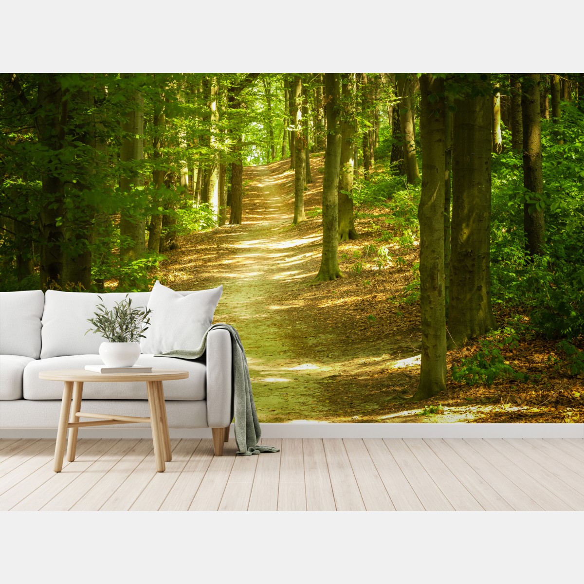 Fototapete sonniger waldpfad – Wallnifity®