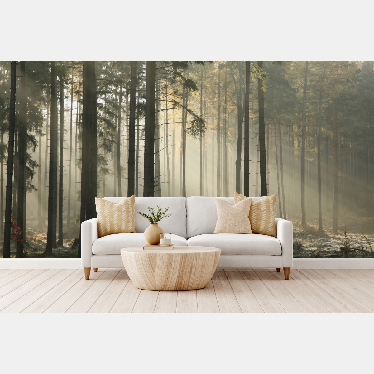 Fototapete nebliger morgenwald mit sonnenstrahlen – Wallnifity®