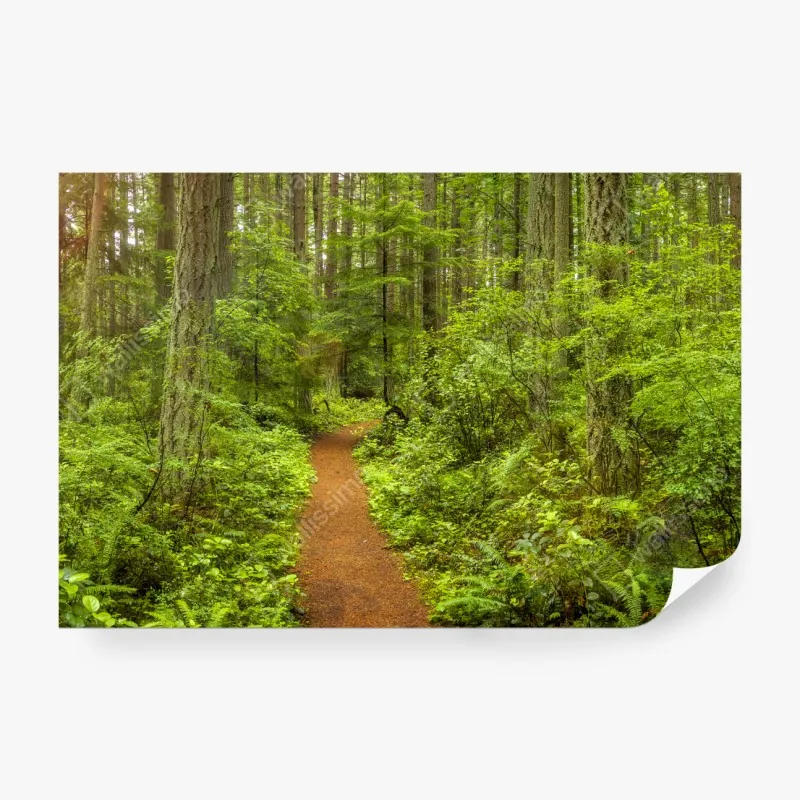 Fototapete art deco goldenes fächermuster – Wallnifity®