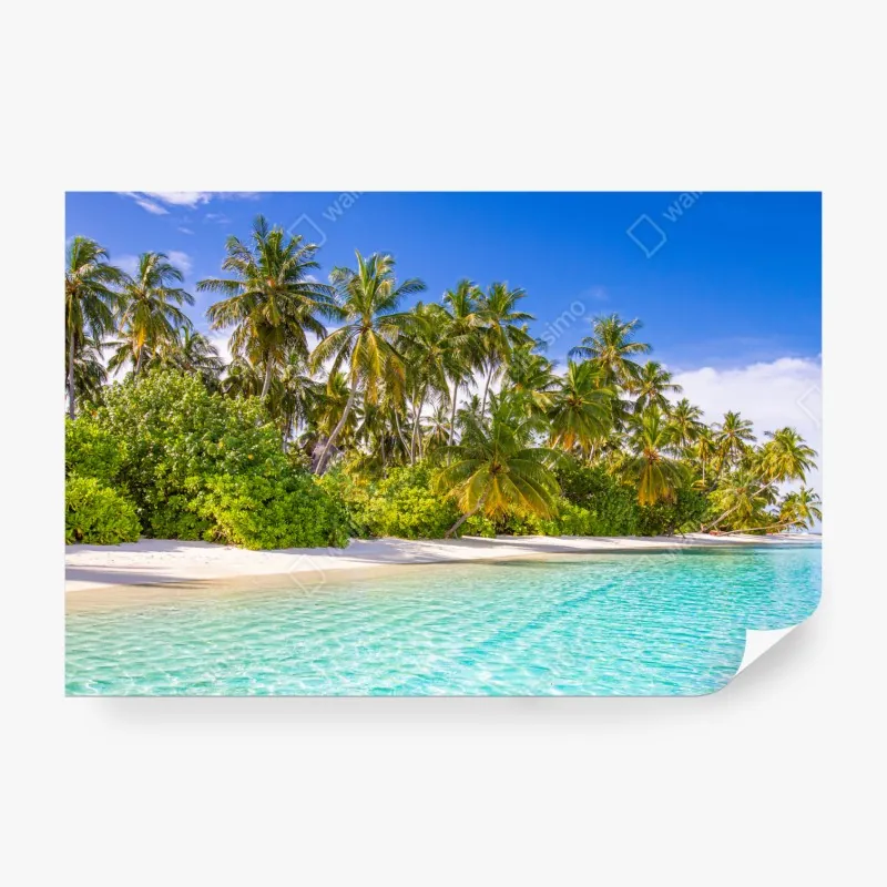 Fototapete tropischer palmenstrand – Wallnifity®