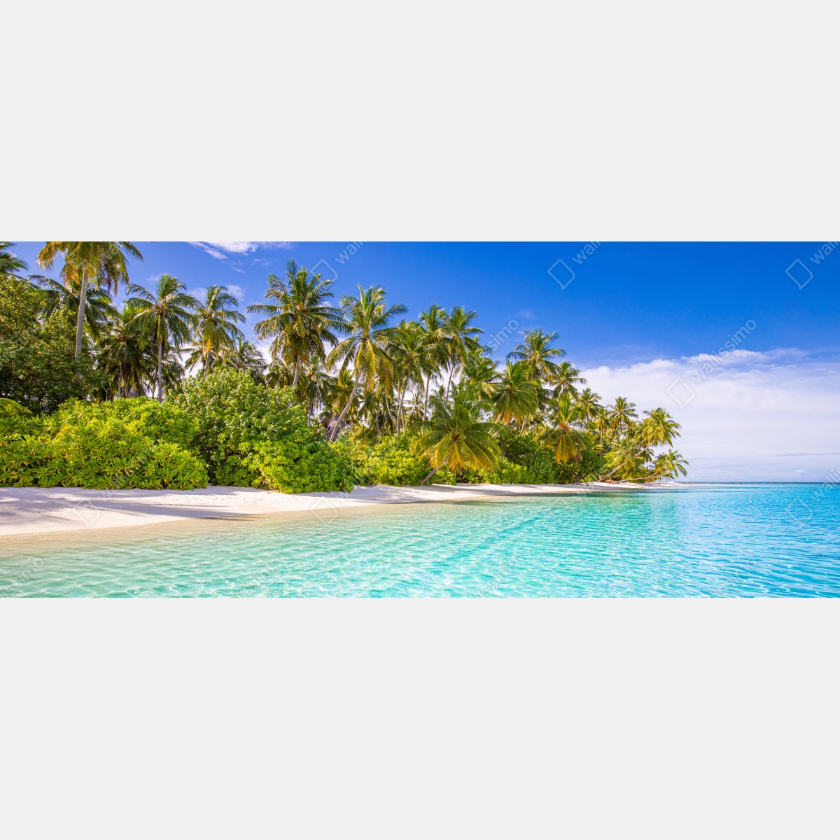 Fototapete tropischer palmenstrand – Wallnifity®