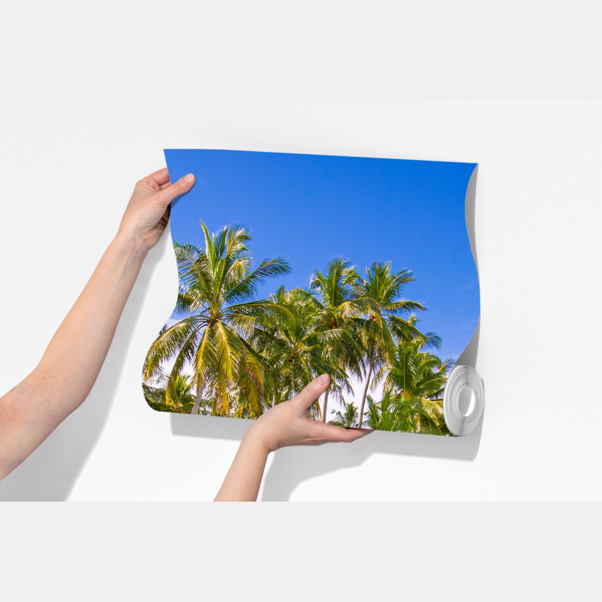 Fototapete tropischer palmenstrand – Wallnifity®