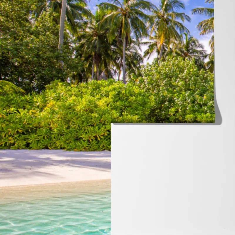 Fototapete tropischer palmenstrand – Wallnifity®