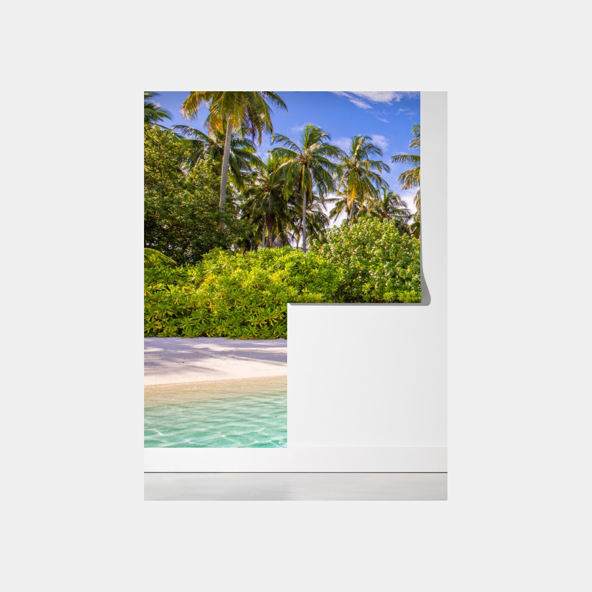 Fototapete tropischer palmenstrand – Wallnifity®