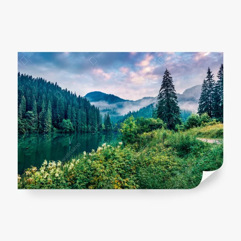 Fototapete nebliger sonnenaufgang über Lacu Rosu – Wallnifity® Fototapete nebliger sonnenaufgang über Lacu Rosu – Wallnifity®