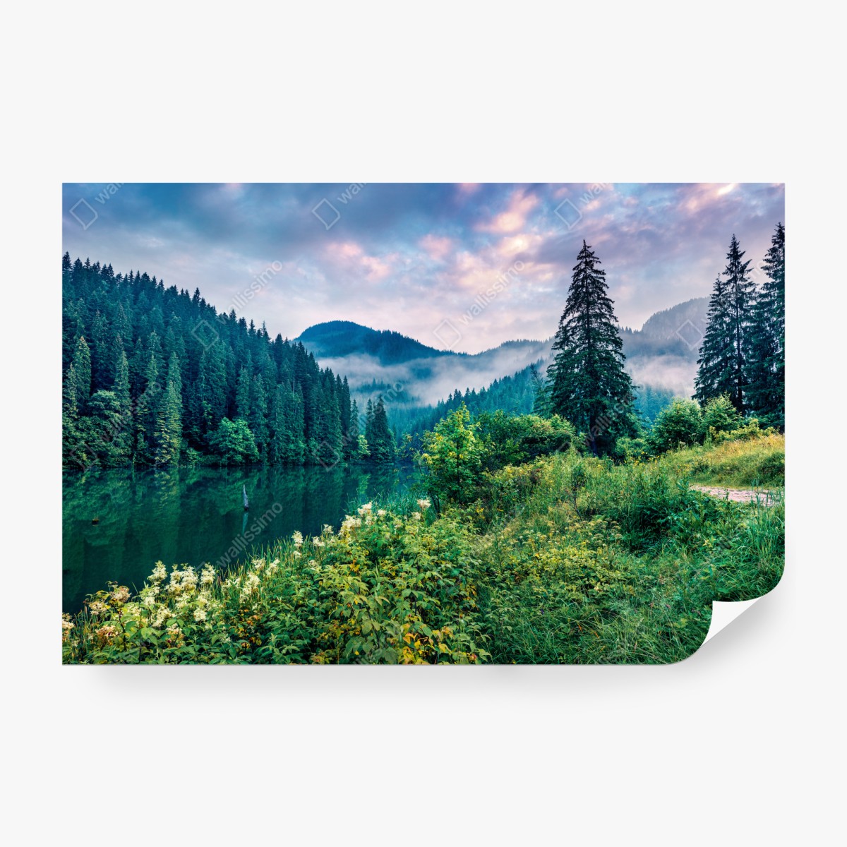 Fototapete nebliger sonnenaufgang über Lacu Rosu – Wallnifity® Fototapete nebliger sonnenaufgang über Lacu Rosu – Wallnifity®