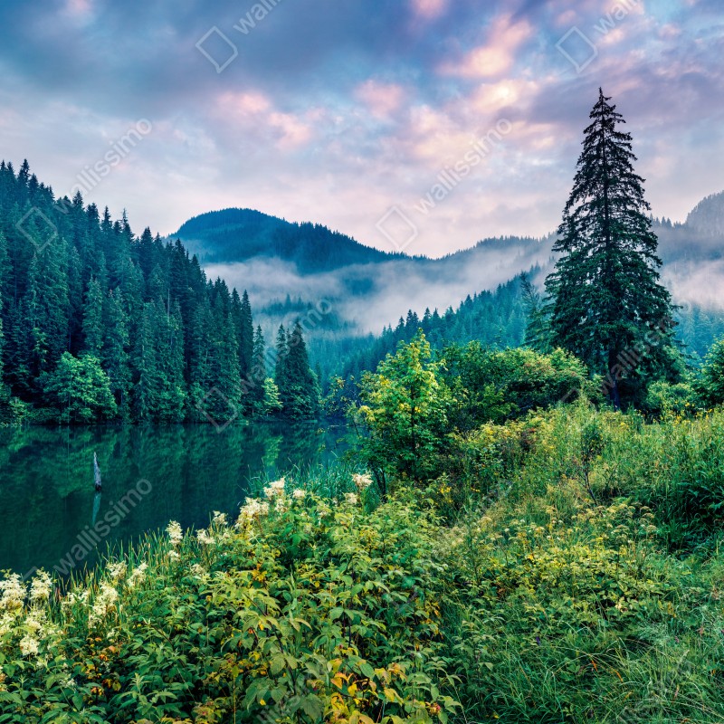 Fototapete nebliger sonnenaufgang über Lacu Rosu – Wallnifity® Fototapete nebliger sonnenaufgang über Lacu Rosu – Wallnifity®