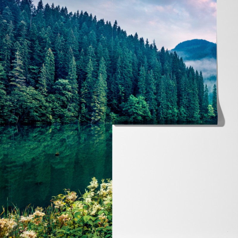 Fototapete nebliger sonnenaufgang über Lacu Rosu – Wallnifity® Fototapete nebliger sonnenaufgang über Lacu Rosu – Wallnifity®