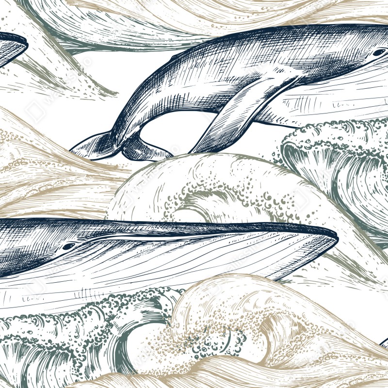 Fototapete handgezeichnete wale und ozeanwellen – Wallnifity® Fototapete handgezeichnete wale und ozeanwellen – Wallnifity®