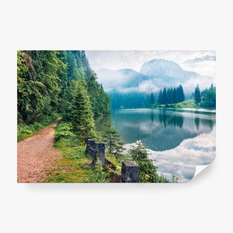 Wall mural misty morning at Lacu Rosu