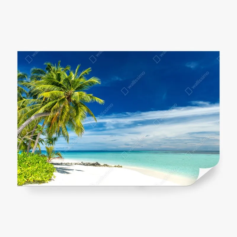 Fototapete tropischer palmenstrand – Wallnifity®