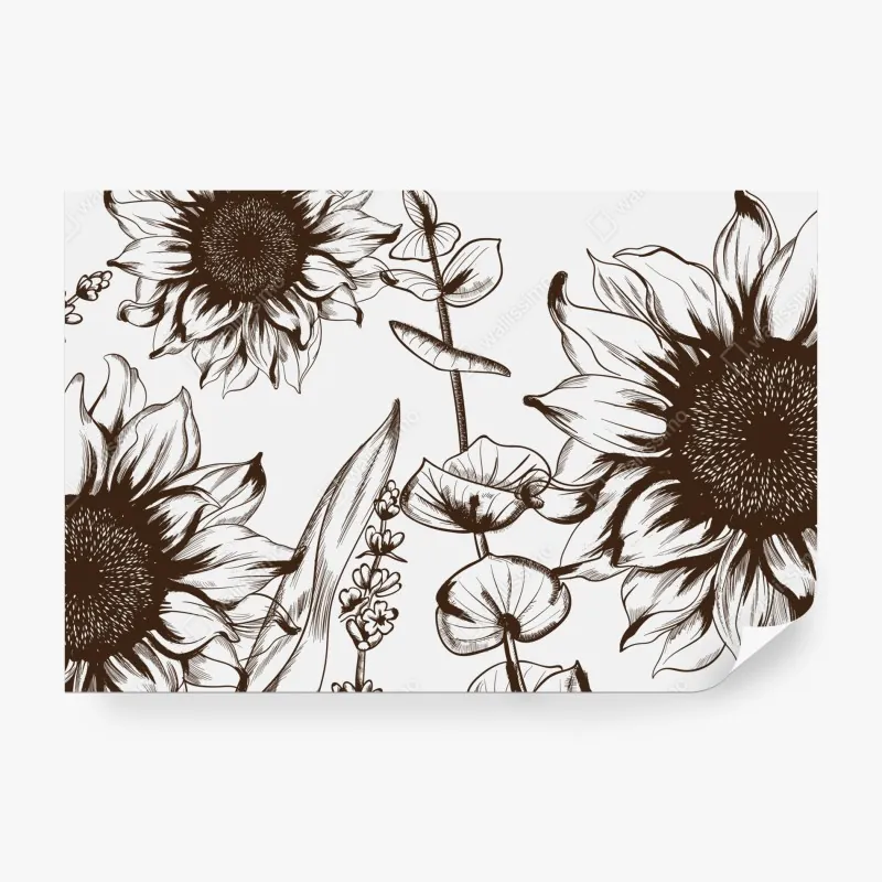 Wall mural sunflower botanical illustration in sepia