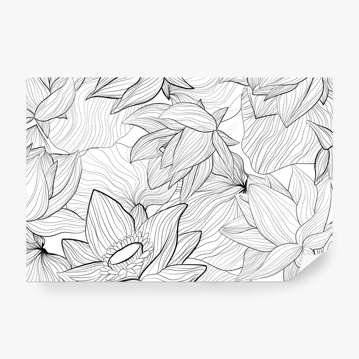 Fototapete zarte lotus-linienzeichnung – Wallnifity® Fototapete zarte lotus-linienzeichnung – Wallnifity®