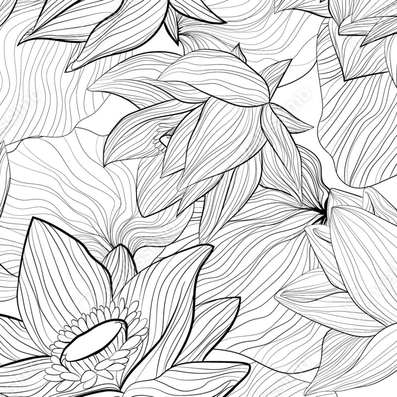 Fototapete zarte lotus-linienzeichnung – Wallnifity® Fototapete zarte lotus-linienzeichnung – Wallnifity®