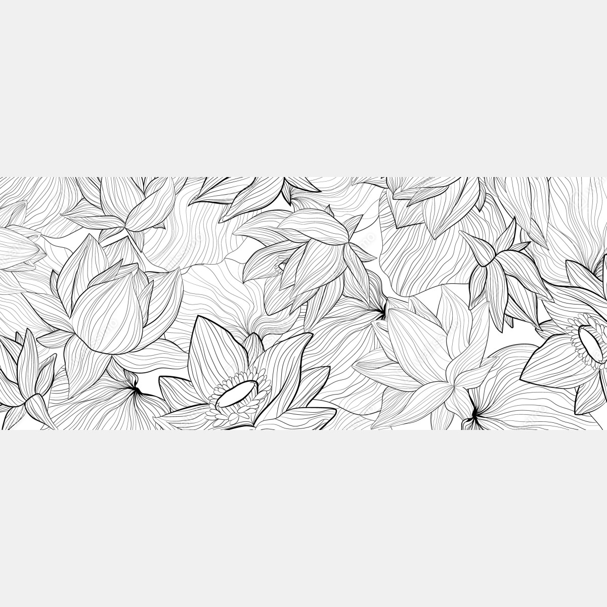 Fototapete zarte lotus-linienzeichnung – Wallnifity® Fototapete zarte lotus-linienzeichnung – Wallnifity®