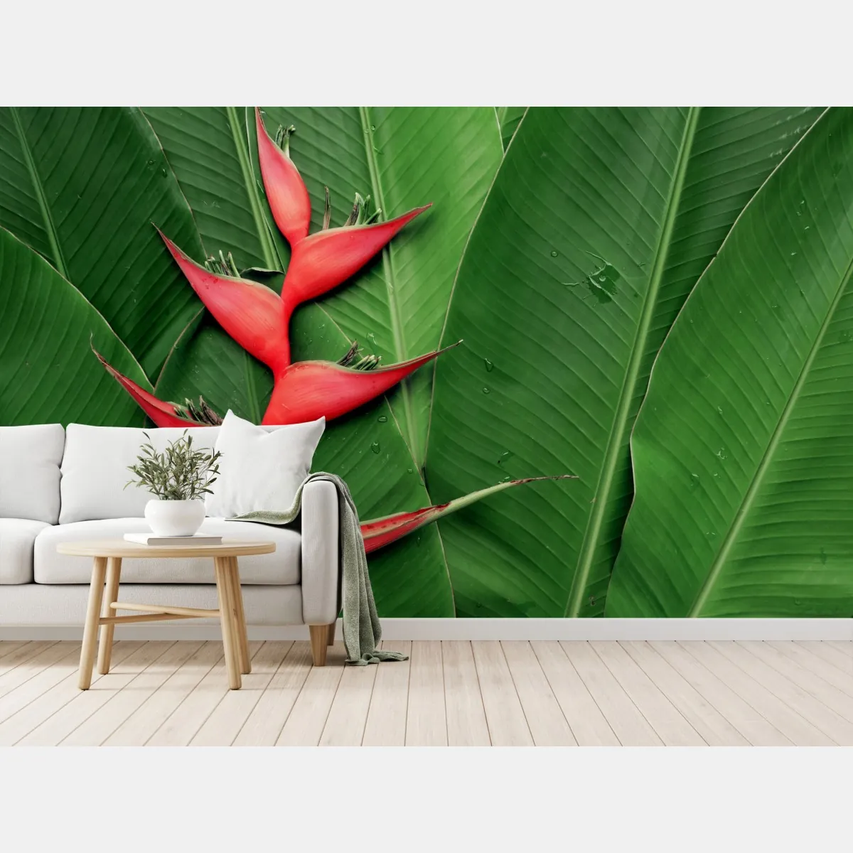 Fototapete leuchtende heliconia auf tropischen blättern – Wallnifity®