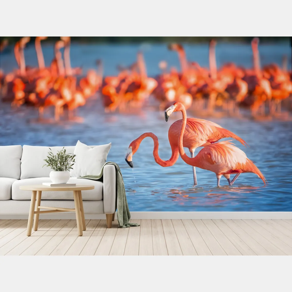 Fototapete anmutige flamingos im flachen wasser – Wallnifity®
